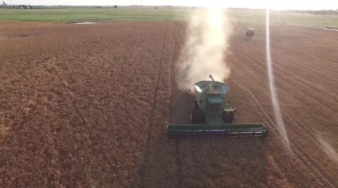 Wheat Harvest Combine Front View - Drone Stock-Footage 65029866