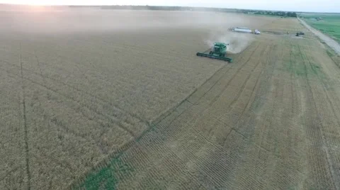 Wheat Harvest Combine Front View - Drone Stock-Footage 65029872