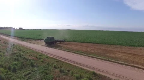 Wheat Harvest Combine Side View Drone Stock-Footage 65029942