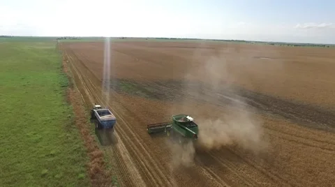 Wheat Harvest Combine Top View - Drone Stock-Footage 65029973