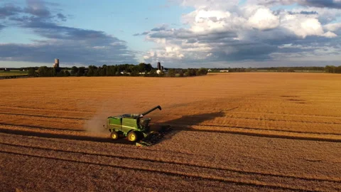 Wheat Harvest, Combining, John Deere Combine Video stock 219292746