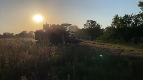 Wheat harvest concept at sunset time. Combine harvesting golden ripe wheat field Stock Footage 201759549