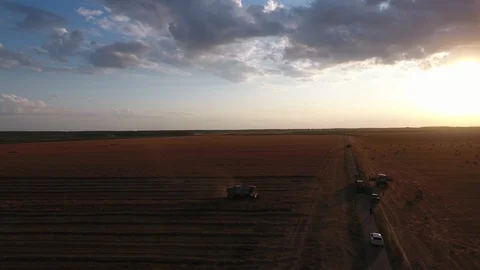 Wheat harvest at dawn Stock-Footage 112262317
