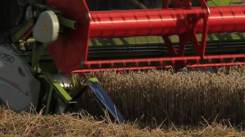 Wheat Harvest 库存影片 28046120