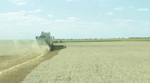 Wheat Harvest Stock Footage 31192591