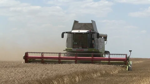 Wheat Harvest Stockbeeldmateriaal 31194083