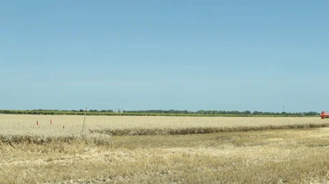 Wheat Harvest Stock Footage 31194317