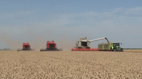 WHEAT HARVEST Stock Footage 39959117