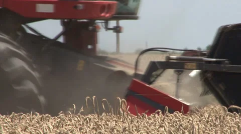 WHEAT HARVEST Stock Footage 39960677