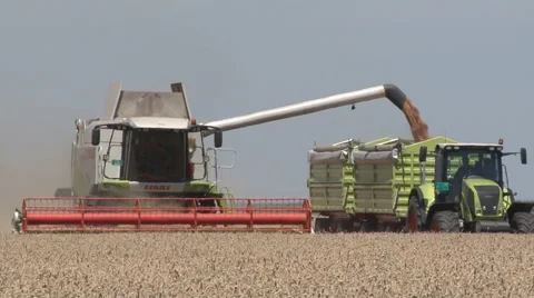 WHEAT HARVEST Stock Footage 39960889