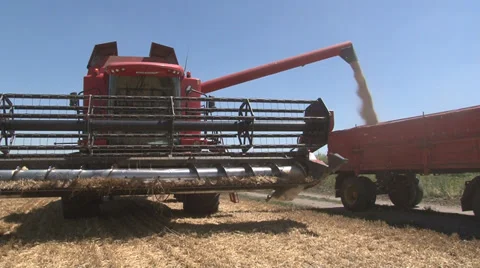 WHEAT HARVEST Stock Footage 39961035