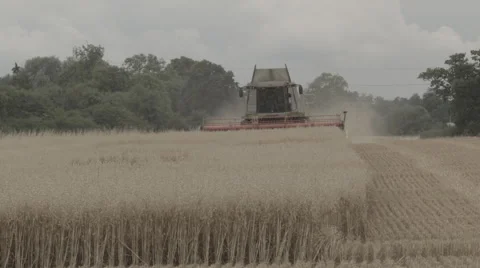 WHEAT HARVEST 動画素材 44050867