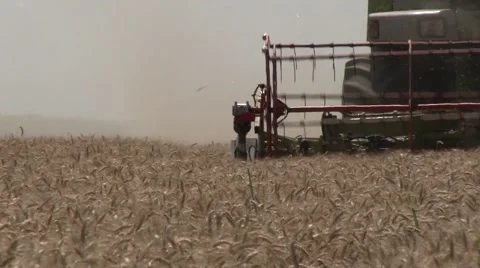 Wheat harvest Stock Footage 56031231