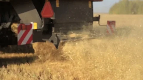The wheat harvest Stock Footage 75420380