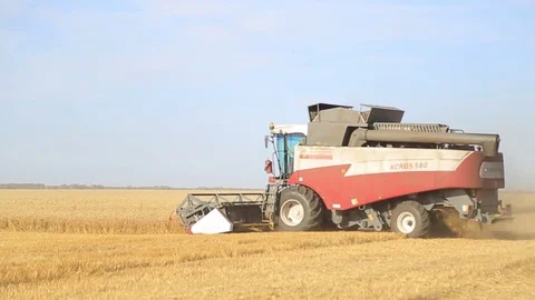 The wheat harvest Stock Footage 75420499
