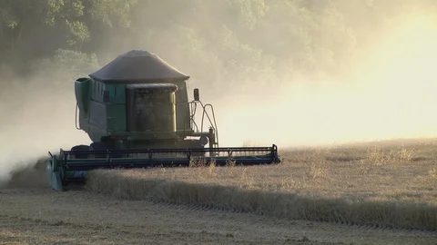 Wheat Harvest Video stock 91111686