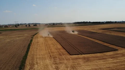 Wheat Harvest  Stock Footage 93389286