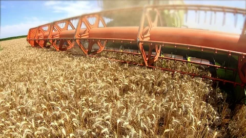 Wheat Harvest Stock Footage 112148781