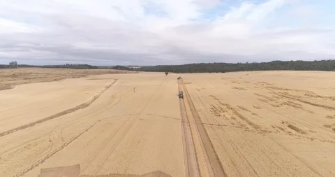 Wheat harvest 스톡 동영상 124857204