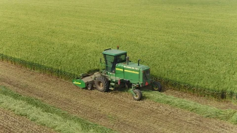 Wheat harvest Stock Footage 128667271