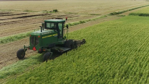 Wheat Harvest Stock Footage 128669267