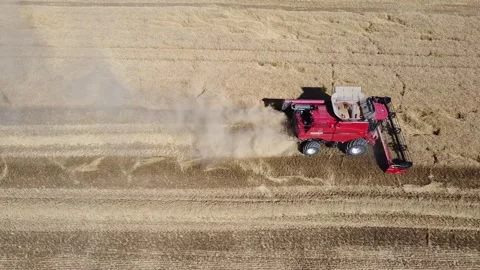 Wheat harvest Stock Footage 134496322