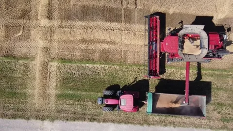 Wheat harvest Vídeos de archivo 134496847