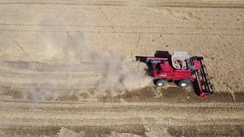 Wheat harvest Stock Footage 134497670