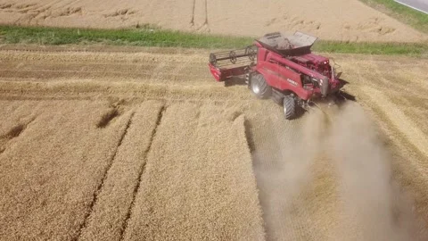 Wheat harvest Stock Footage 134498023
