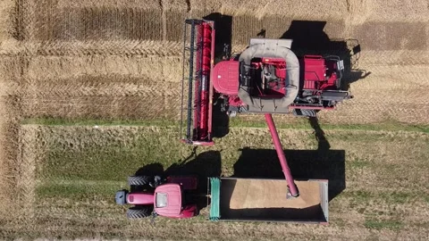 Wheat harvest Stock Footage 134498715