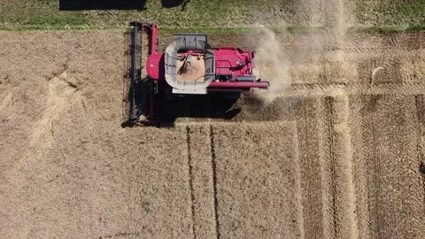 Wheat harvest Vídeo Stock 134499041