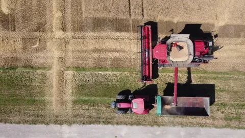 Wheat harvest Video stock 134499054