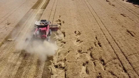 Wheat harvest Stock Footage 134499322