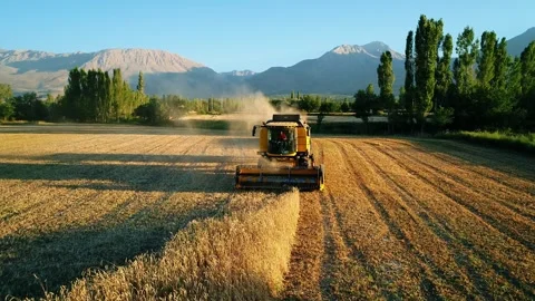 Wheat Harvest Stock Footage 340779066