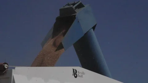 Wheat Harvest Grain Cart Unloading Close Up Stock Footage 64979003