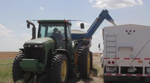 Wheat Harvest Grain Cart Unloading Front View  Stock Footage 64979022