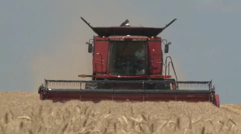 Wheat harvest harvester 库存影片 44727110