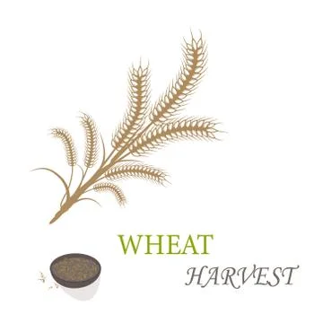 Wheat harvest Stock Illustration