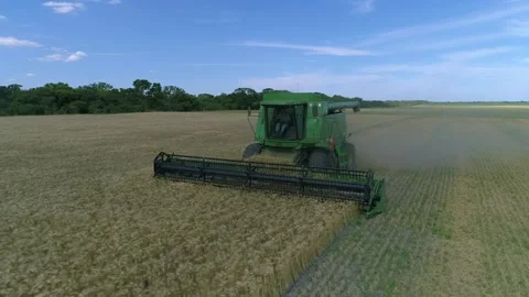 Wheat harvest with machine. Stock Footage 132838649