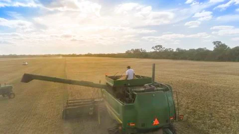 Wheat harvest with machine. Stock Photos