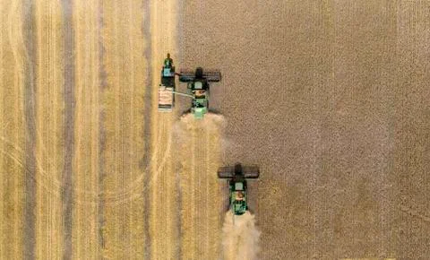 Wheat harvest with machine. Stock Photos