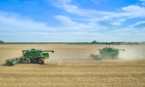 Wheat harvest with machine. Stock Photos