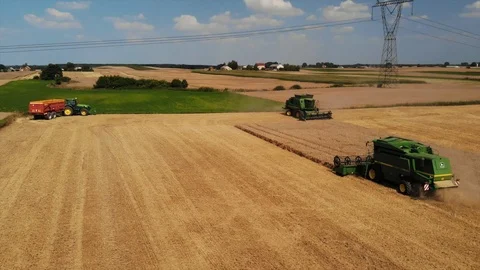 Wheat Harvest  In Poland Stock-Footage 93437065