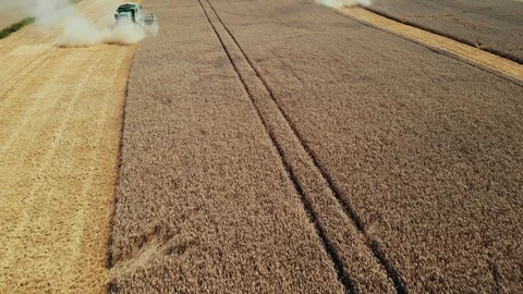 Wheat Harvest revealed shoot Stock Footage 93389111