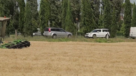 Wheat Harvest Summer Stock Footage 55006113