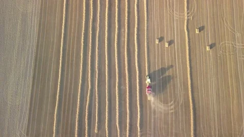 Wheat harvest from the top drone view Stock Footage 168311186
