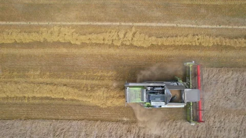 Wheat harvest. Top view of the combine. Stock Footage 159854077