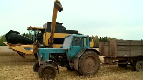 The wheat harvest the tractor gets in a load of grain Stock Footage