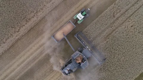 Wheat Harvest UK Stock Footage 139969418