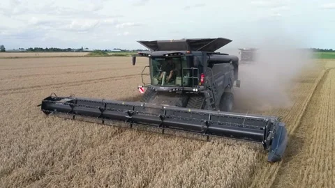Wheat Harvest UK Stock Footage 139970747